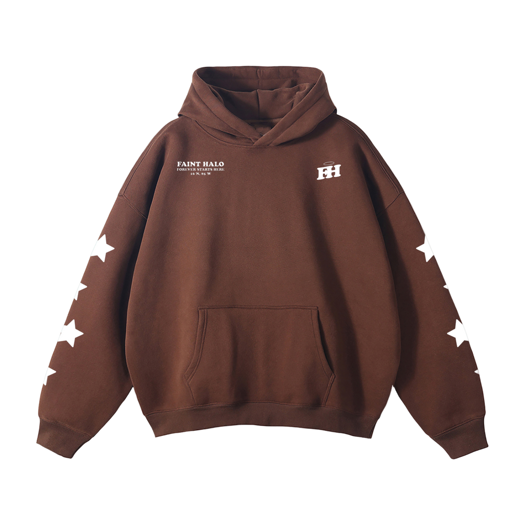 "STARS" HEAVYWEIGHT HOODIE