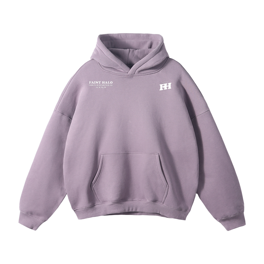 "DONT TRUST THE PRETTY ONES" HEAVYWEIGHT HOODIE