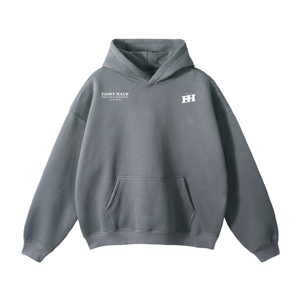 "DONT TRUST THE PRETTY ONES" HEAVYWEIGHT HOODIE