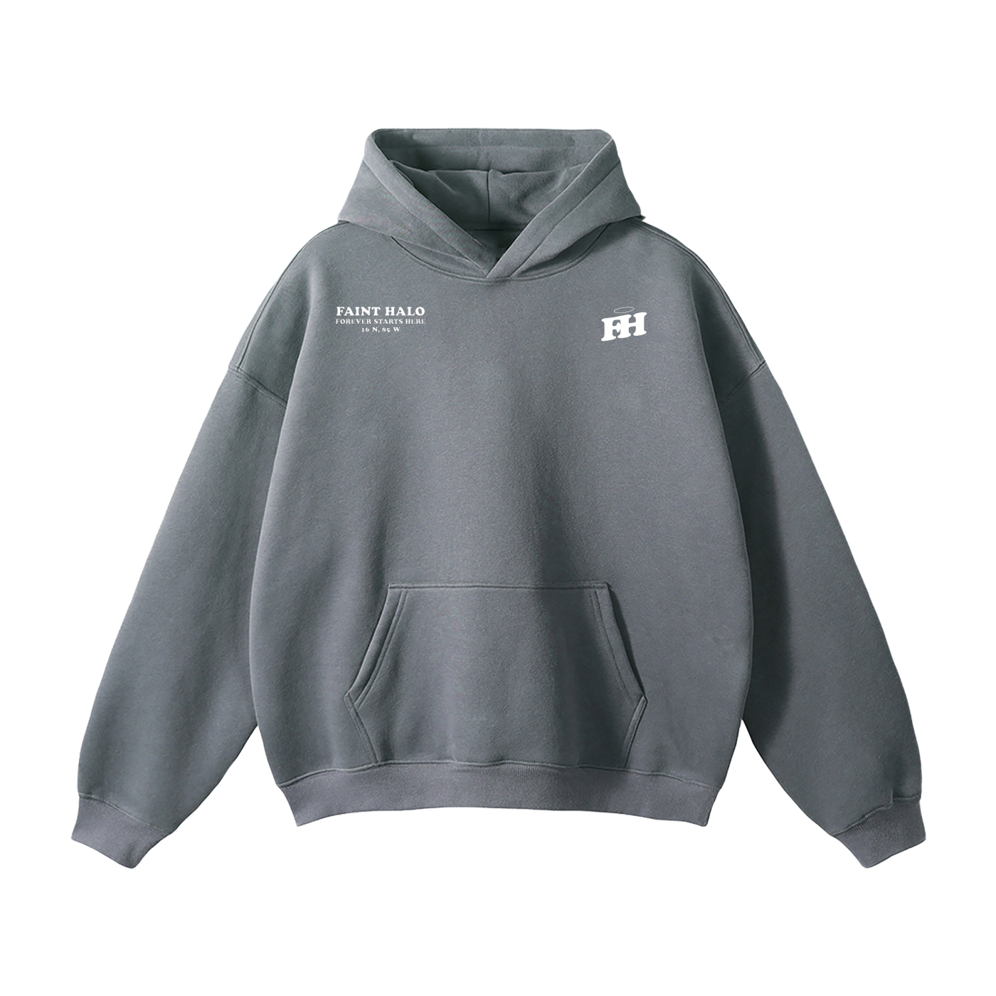 "DONT TRUST THE PRETTY ONES" HEAVYWEIGHT HOODIE