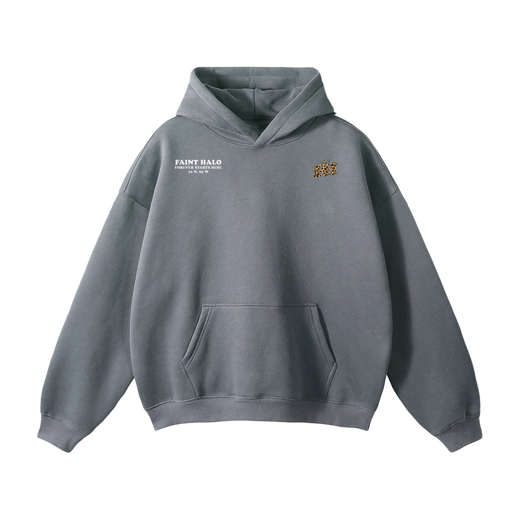 "DONT TRUST THE PRETTY ONES" HEAVYWEIGHT LEOPARD HOODIE