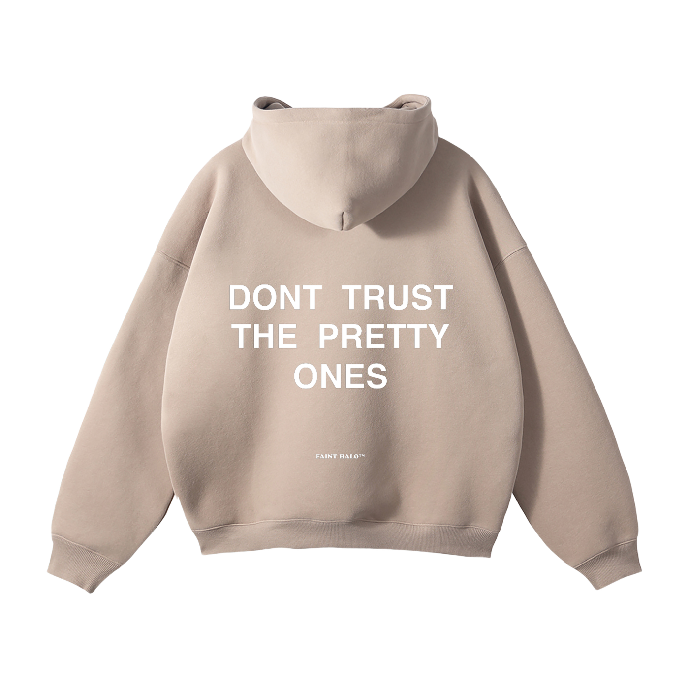 "DONT TRUST THE PRETTY ONES" HEAVYWEIGHT HOODIE