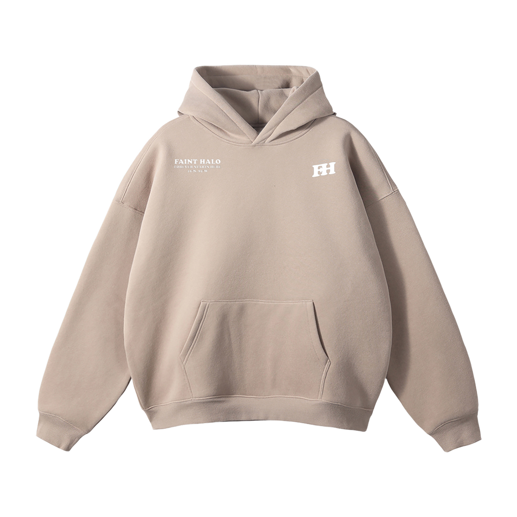 "DONT TRUST THE PRETTY ONES" HEAVYWEIGHT HOODIE