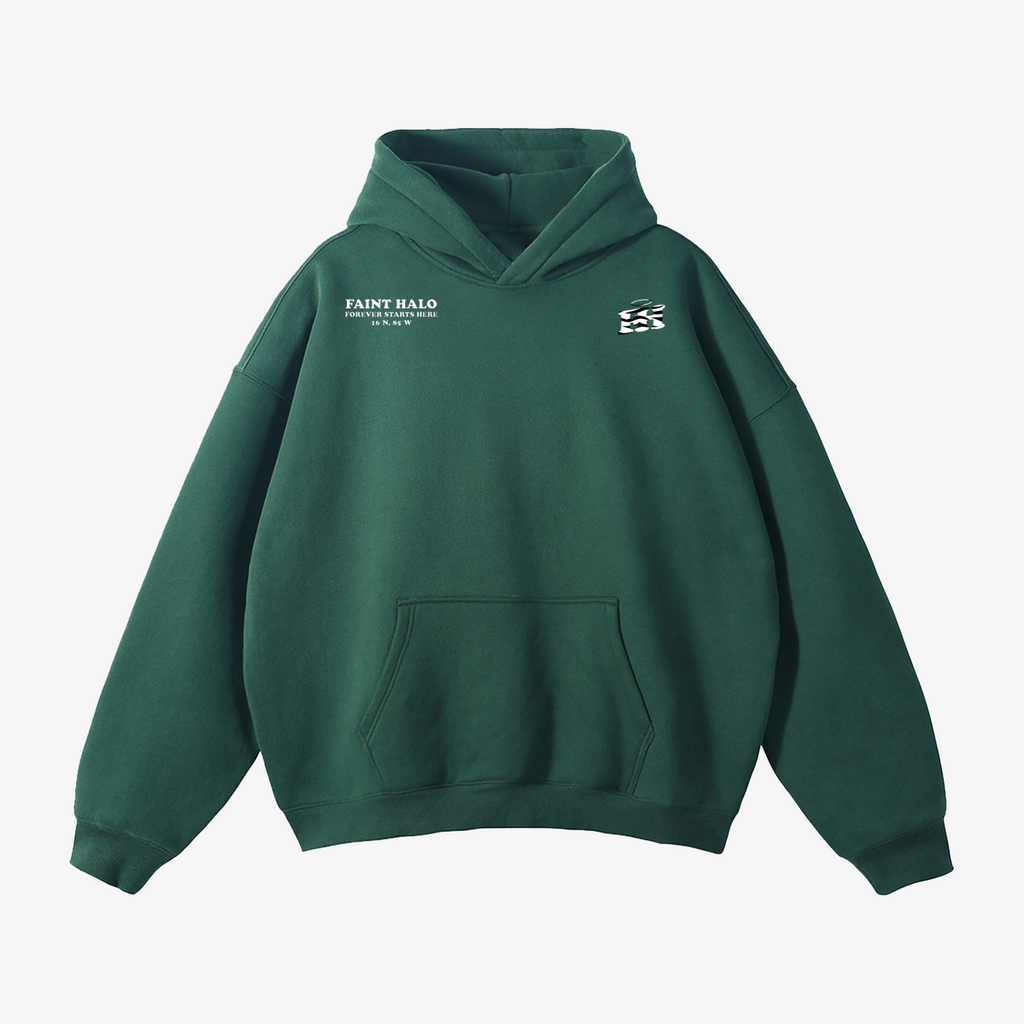 "LOVE YOU BEYOND THE STARS" HEAVYWEIGHT BENGAL HOODIE