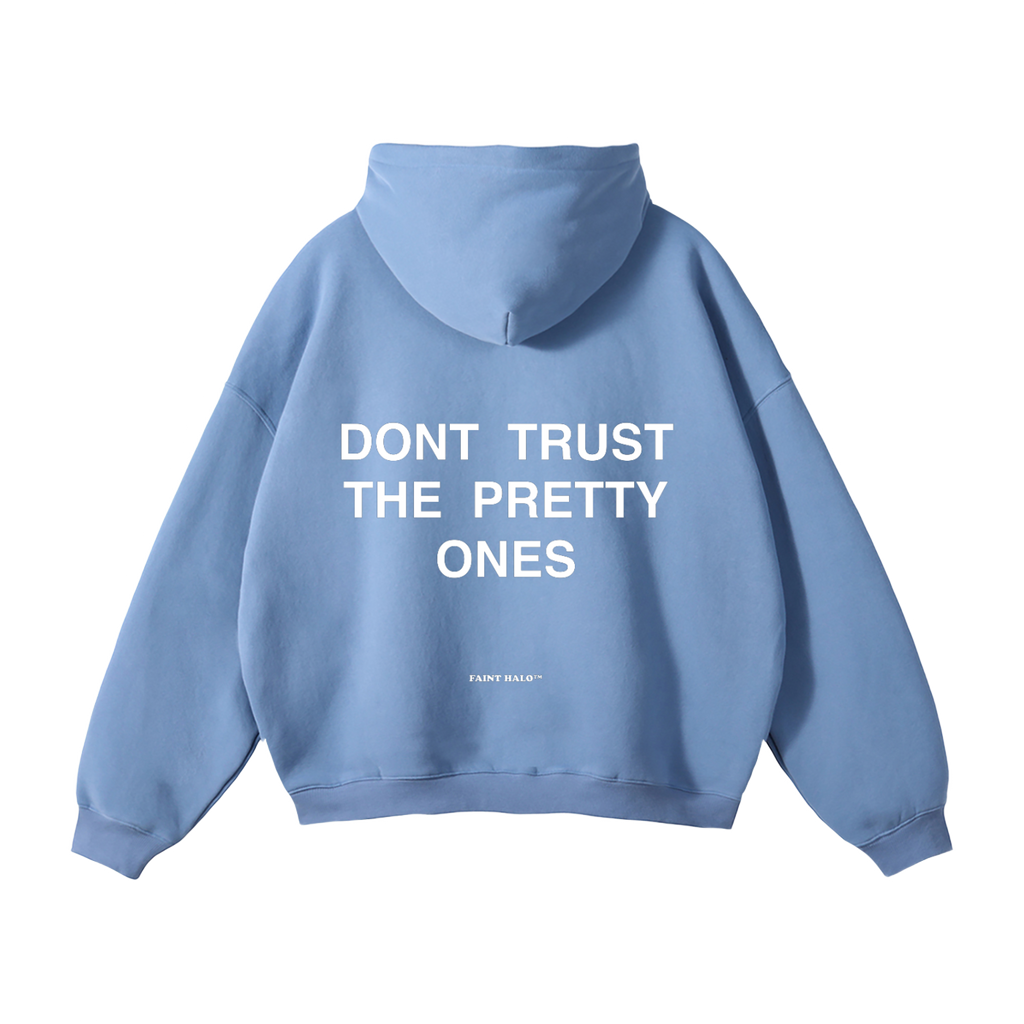 "DONT TRUST THE PRETTY ONES" HEAVYWEIGHT HOODIE