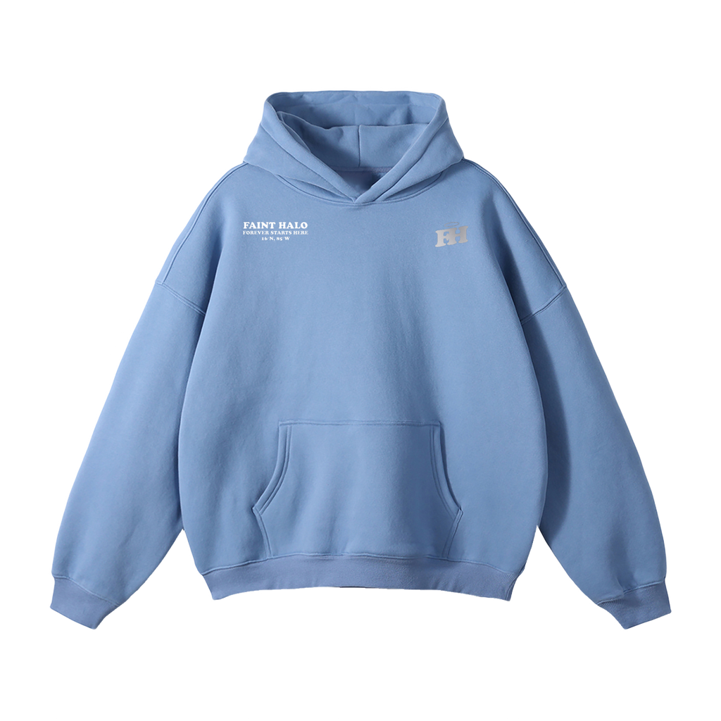 "LA" HEAVYWEIGHT PLATINUM HOODIE