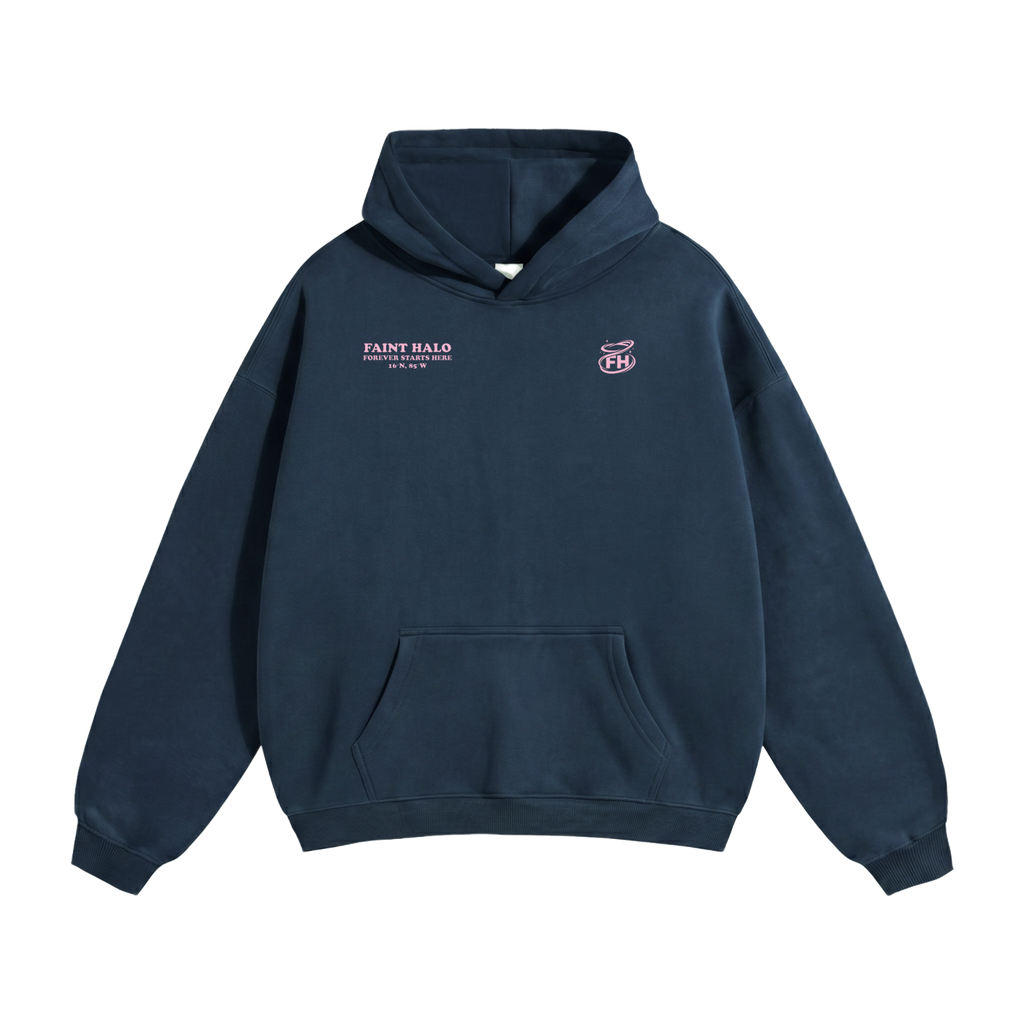 Dont Trust The Pretty Ones Pink Heavyweight Hoodie