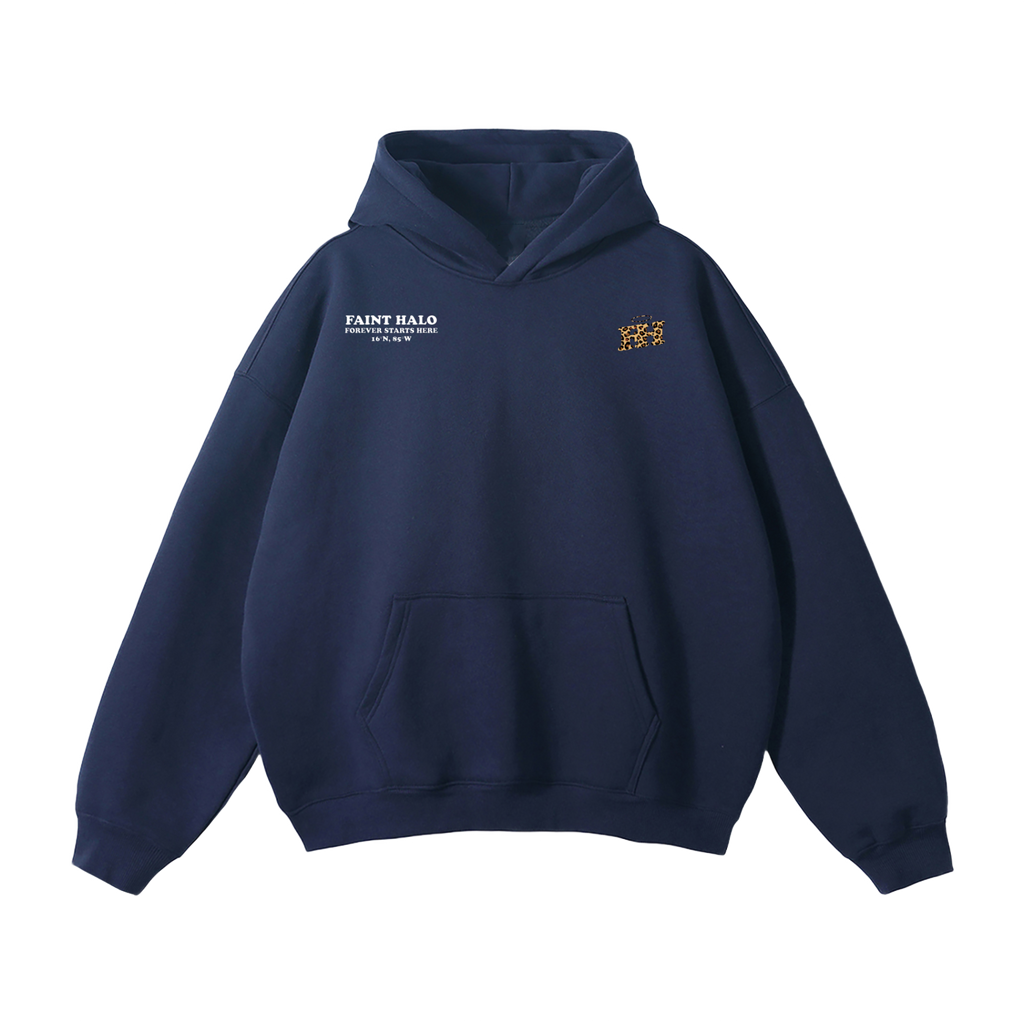 "DONT TRUST THE PRETTY ONES" HEAVYWEIGHT LEOPARD HOODIE