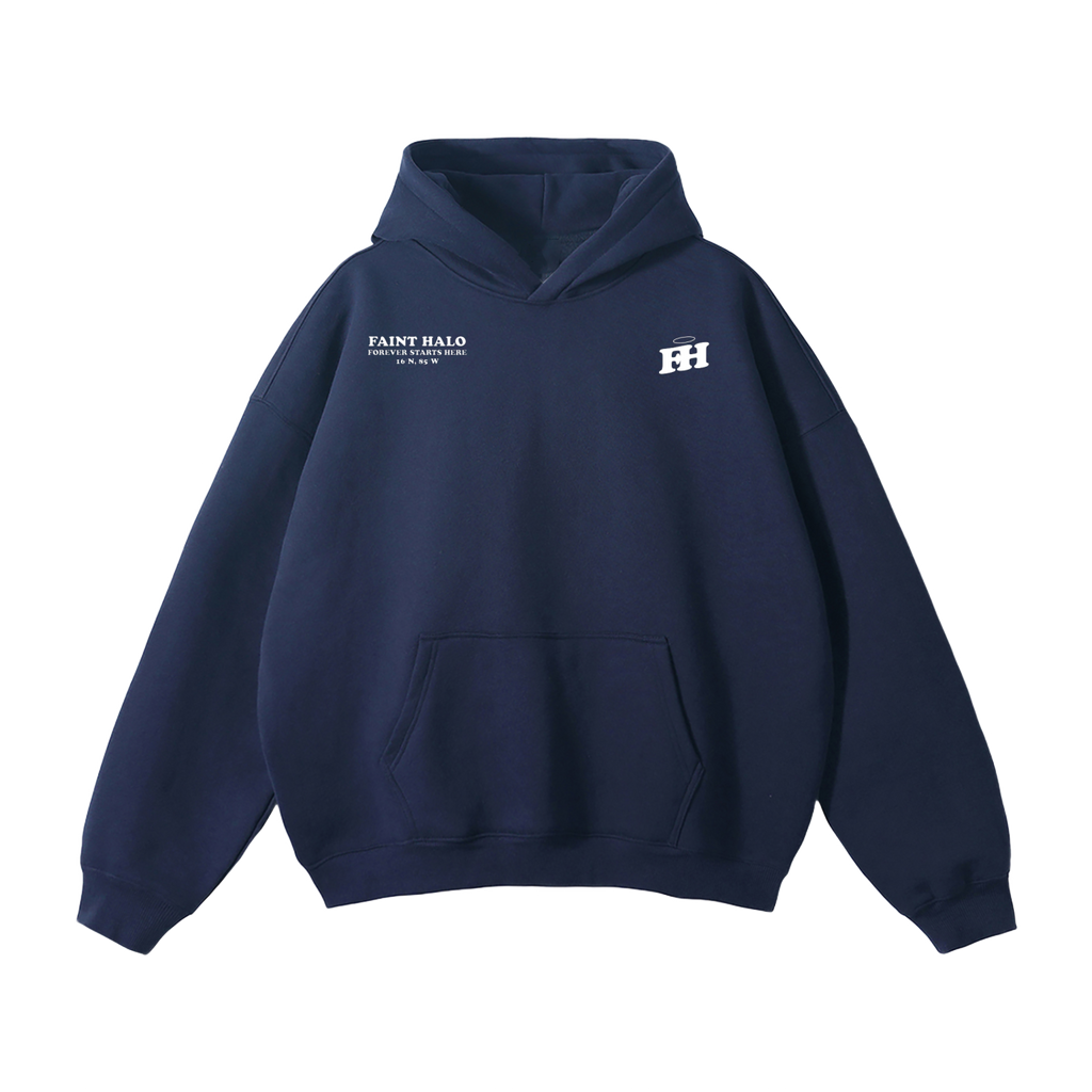 "DONT TRUST THE PRETTY ONES" HEAVYWEIGHT HOODIE