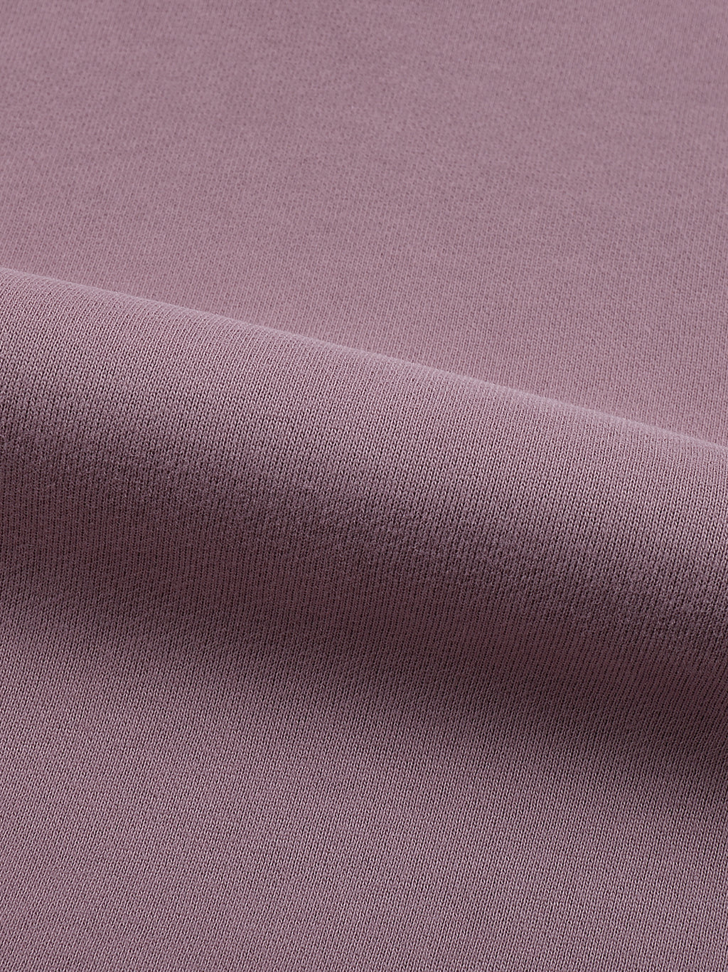 "DONT TRUST THE PRETTY ONES" HEAVYWEIGHT HOODIE